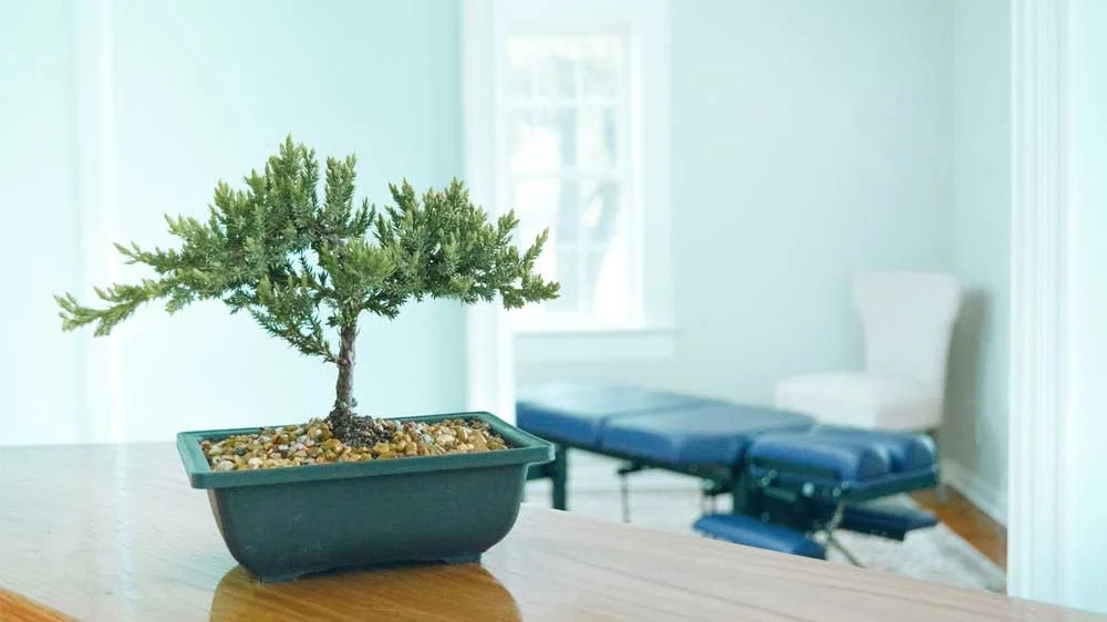 The calm treatment room at Hands of Hope